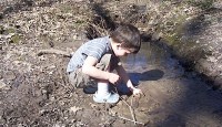 100_5262_opt 100_5262_opt
