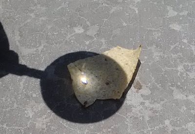 tortilla chip