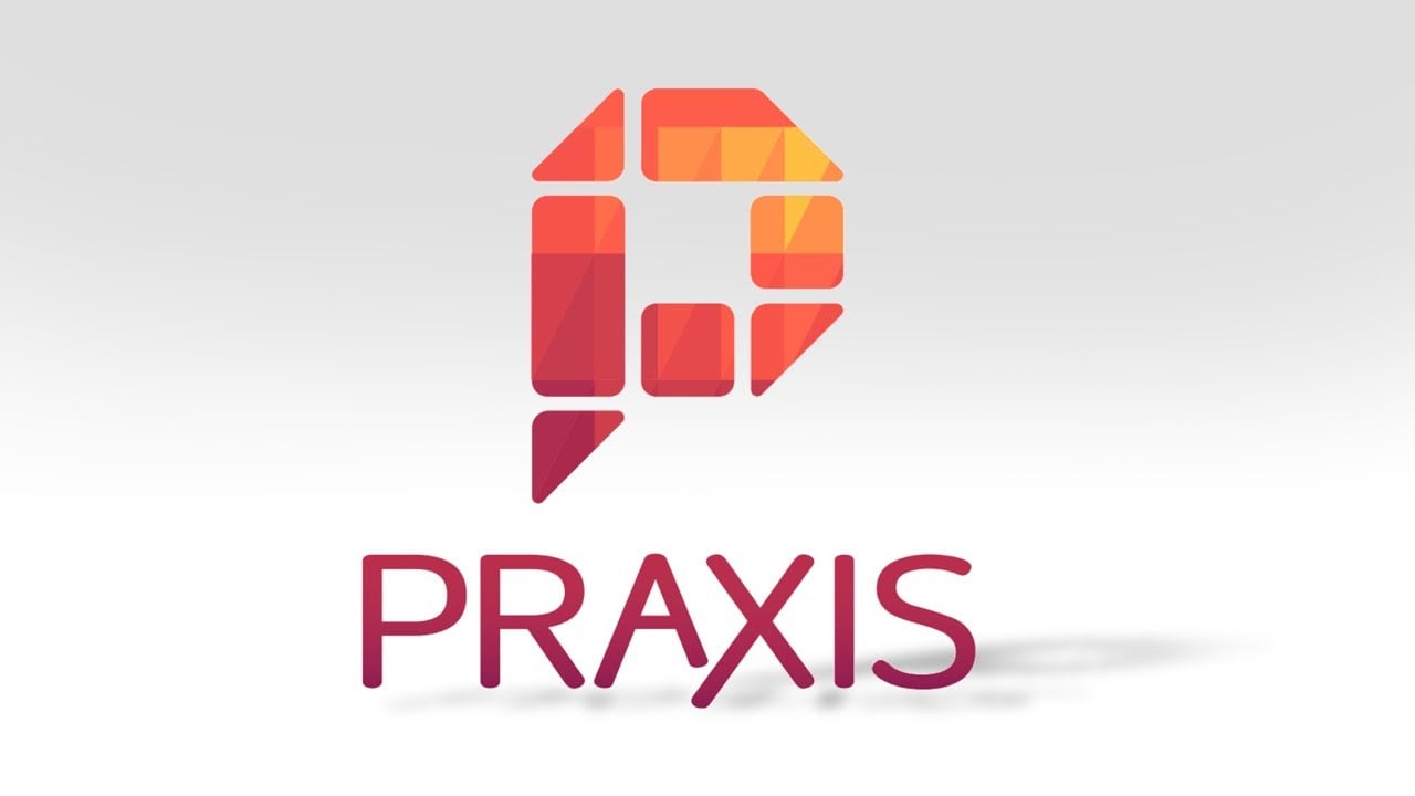 Praxis - Apprentice at a Startup