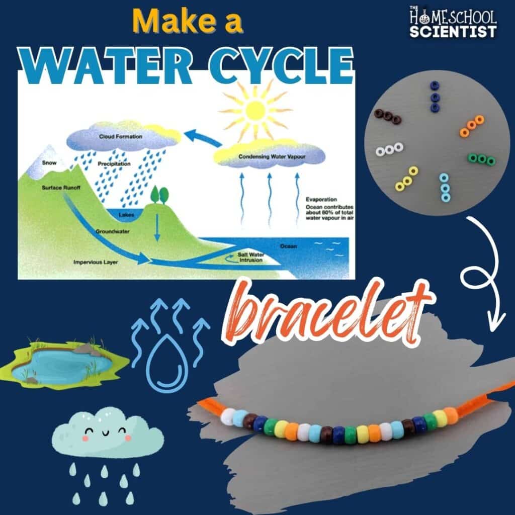 Make a water cycle bracelet