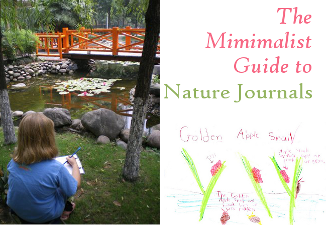 The Minimalist Guide to Nature Journals
