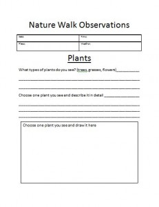 plant observation page