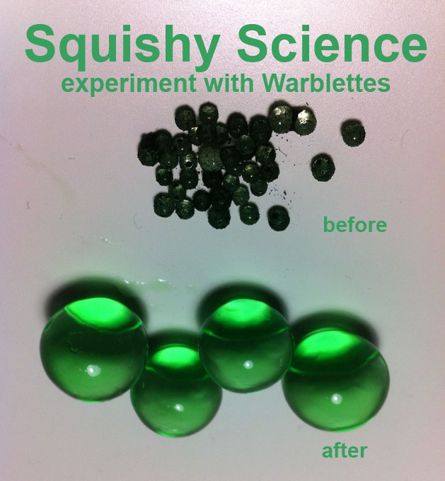 Squishy Science Experiment With Warblettes