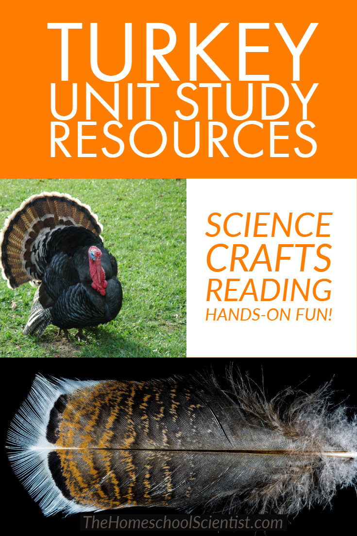 turkey unit study resources