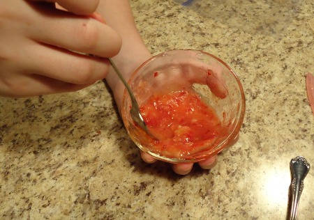 Extracting DNA From Strawberries