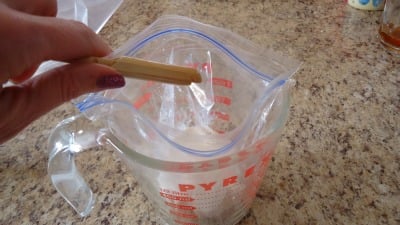 ice cream in a bag