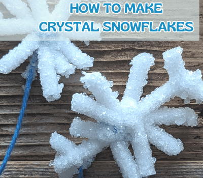 HOW TO MAKE CRYSTAL SNOWFLAKES WITH BORAX