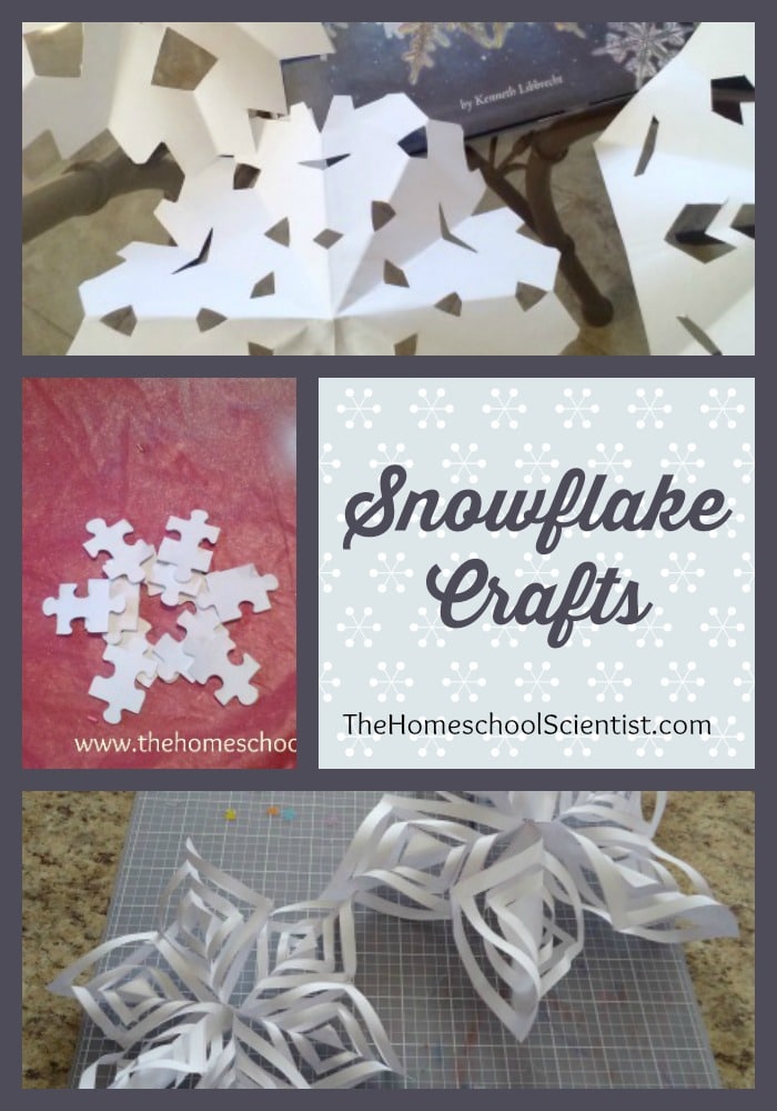 Snowflake Crafts - The Homeschool Scientist