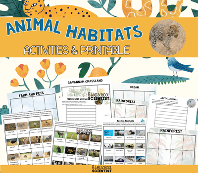 Learning About Animal Habitats
