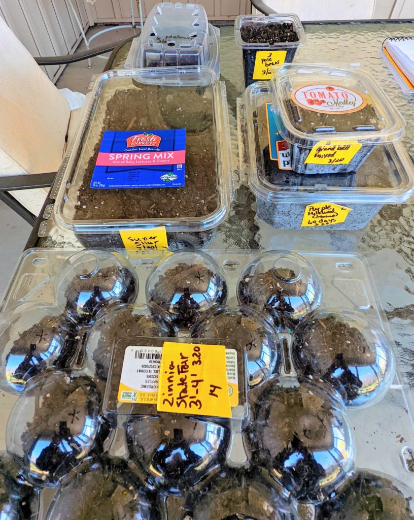 Recyclable containers for starting seeds