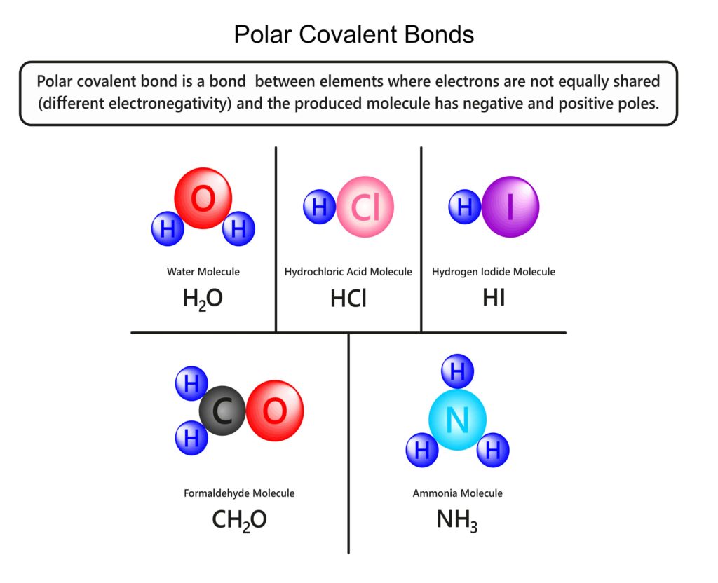 polar covalent bonds