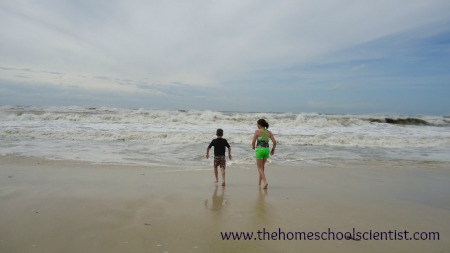 tips for educational beach vacation