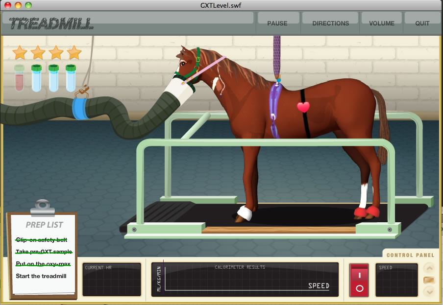 horse treadmill