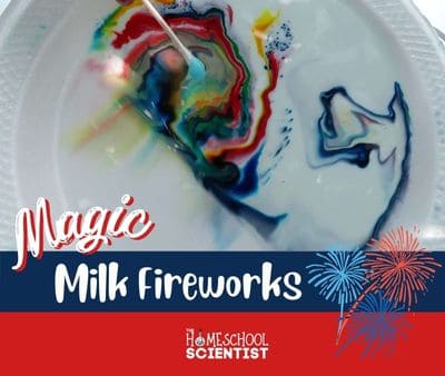 milk fireworks activity for kids