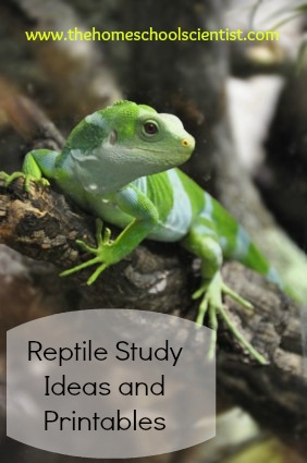 10 Reptile Study Ideas and a FREE Reptile Printable The