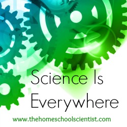 Science Is Everywhere monthly series - TheHomeschoolScientist.com
