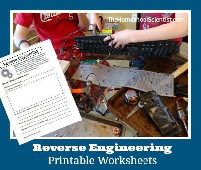 Reverse Engineering Printable Worksheets- TheHomeschoolScientist.com