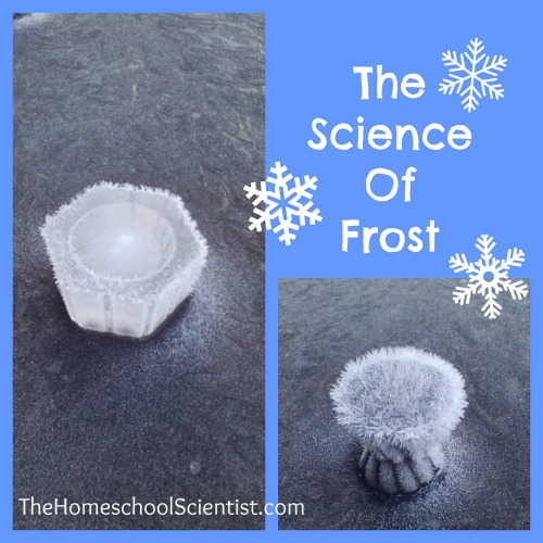 The Science Of Frost The Homeschool Scientist