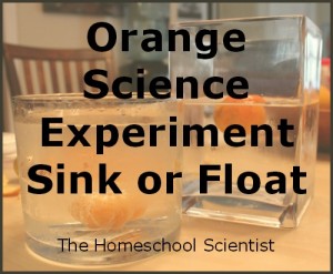 Orange Science Experiments