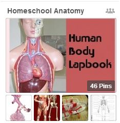 Homeschool Anatomy Pinterest Board