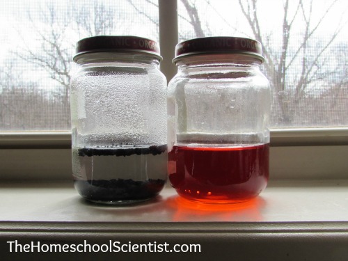 Charcoal Experiment - Can activated charcoal remove molecules from water? --TheHomeschool Scientist.com