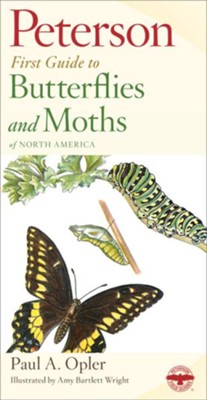 Differences between butterflies and moths worksheet use this field guide to enhance your study
