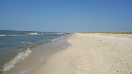 Vacation Education - Gulf Shores Alabama