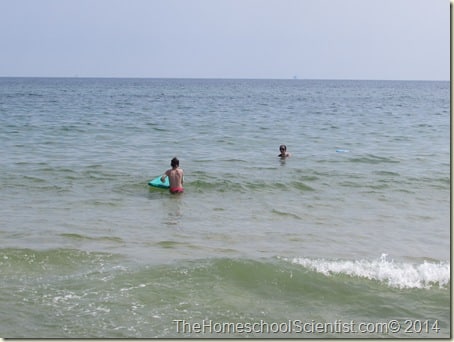 homeschool field trip - Gulf Shores, AL