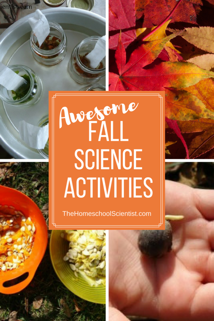 fall science activities