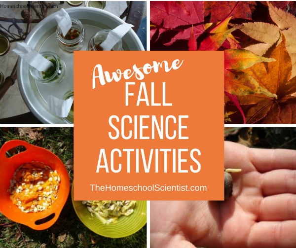 fall science activities