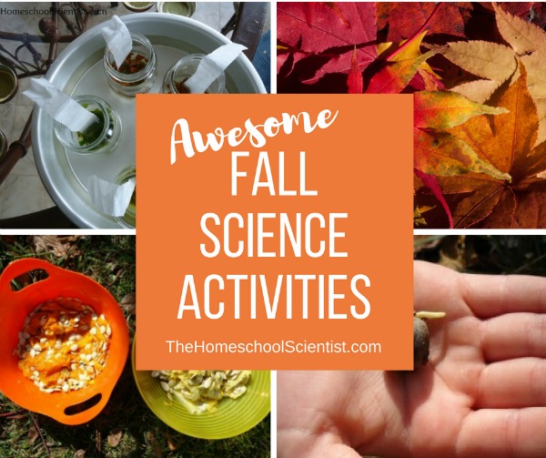 Awesome Fall Science Activities