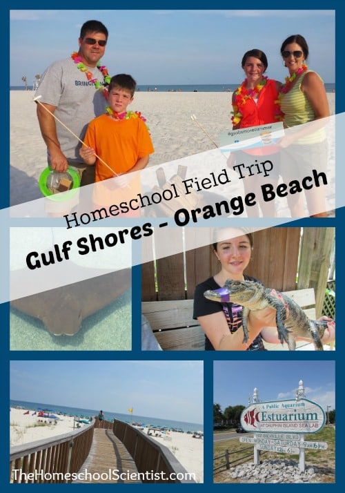 Homeschool Field Trip - Gulf Shores / Orange Beach, Alabama - TheHomeschoolScientist.com