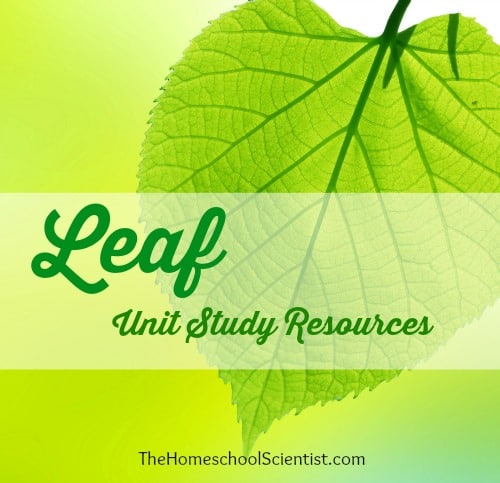 Leaf Unit Study Resources - TheHomeschoolScientist.com