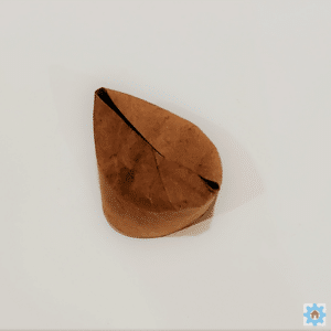 First Fold on half toilet paper roll2