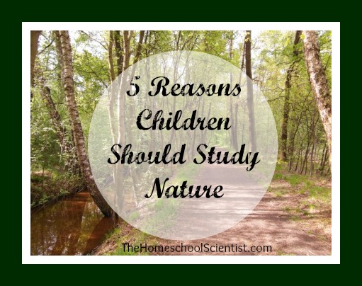 5 Reasons Children Should Study Nature - TheHomeschoolScientist.com