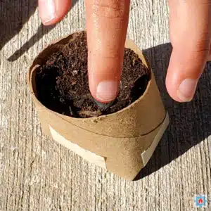 planting a seed 1