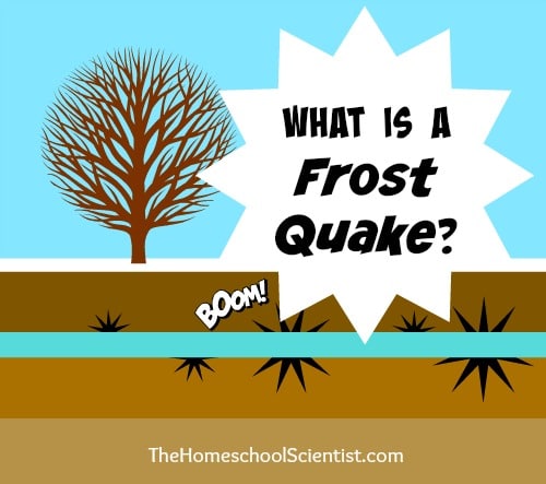 What is a Frost Quake? - TheHomeschoolScientist.com