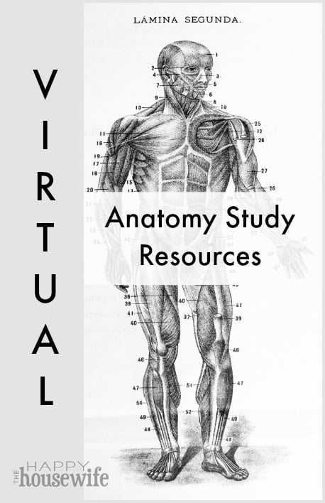 Virtual Anatomy Study Resources