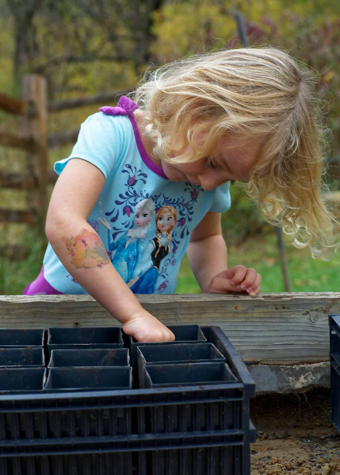 Seed Unit Study Resources – Life Cycle Printables