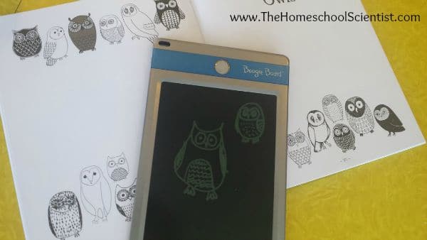 Using Boogie Board e-writers in homeschool - The Homeschool Scientist