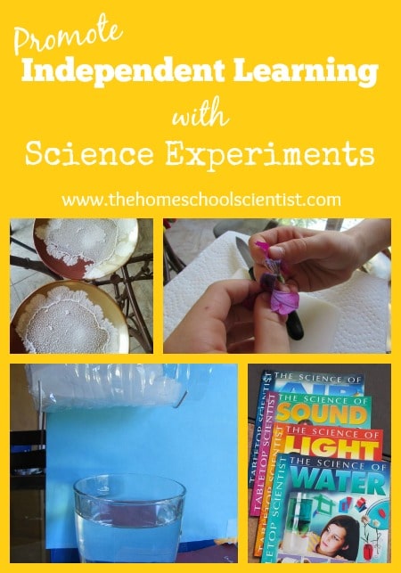 Promote independent learning with science experiments - The Homeschool Scientist