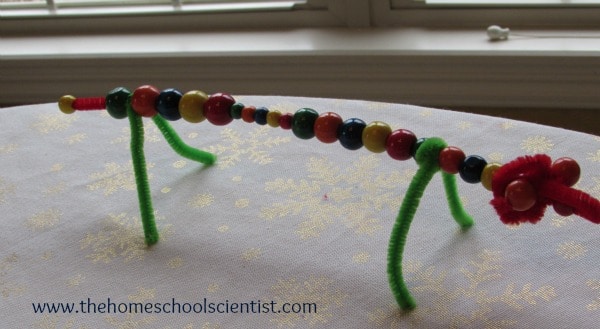 Make A Vertebrate Model