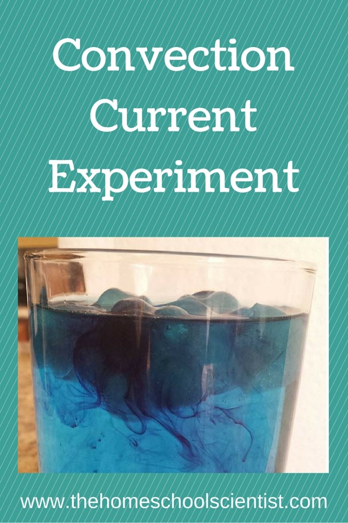 Convection Current Experiment