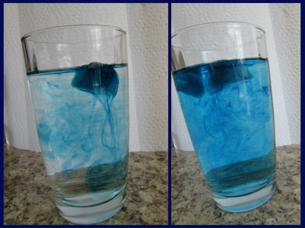 convection current experiment - The Homeschool Scientist