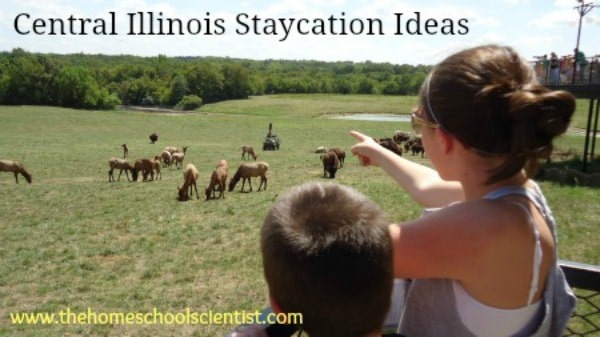 Central Illinois Staycation Ideas