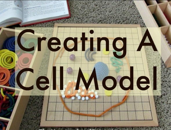 creating a cell model - The Homeschool Scientist