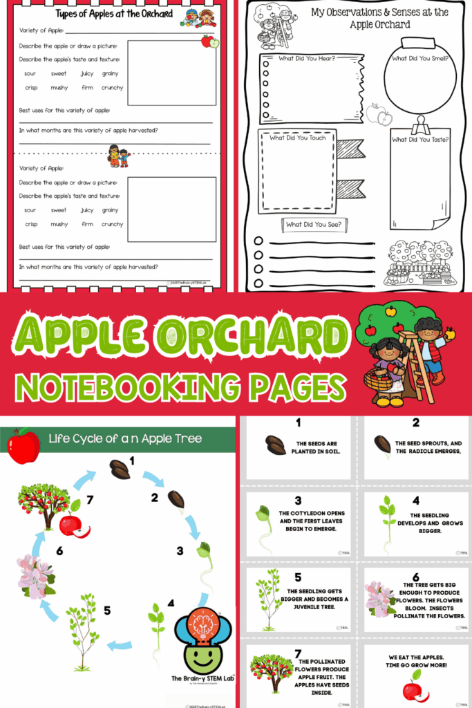 APPLE ORCHARD NOTEBOOKING PIN2 1