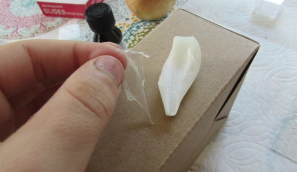 Preparing an onion skin slide for the microscope - The Homeschool Scientist