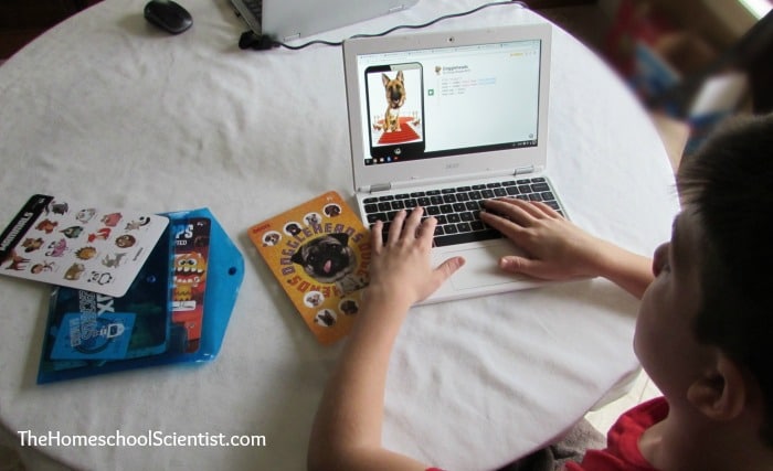 How To Teach Kids To Code With Bitsbox - The Homeschool Scientist
