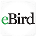 eBird Bird app